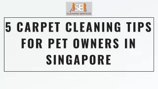 5 Carpet Cleaning Tips For Pet Owners In Singapore