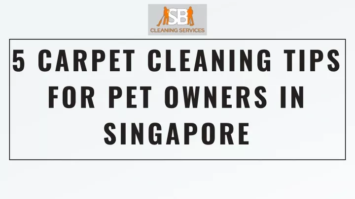 5 carpet cleaning tips for pet owners in singapore