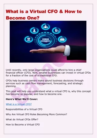 What is a Virtual CFO & How to Become One ?