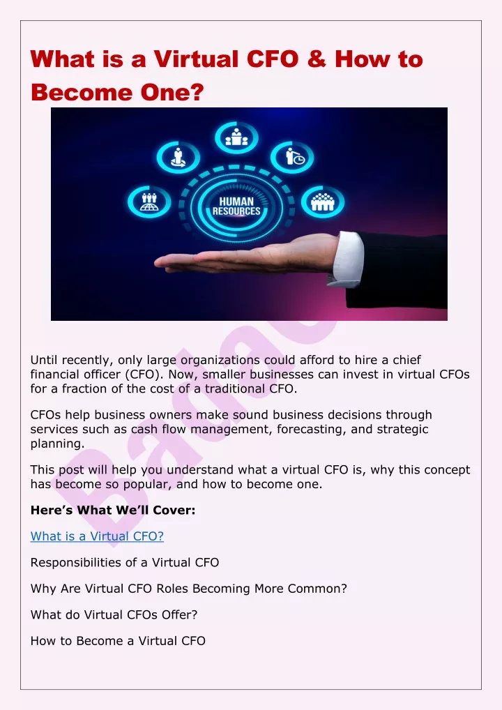 what is a virtual cfo how to become one