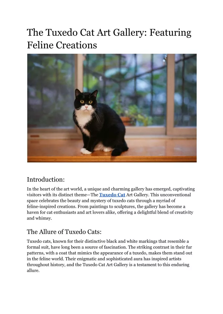 the tuxedo cat art gallery featuring feline