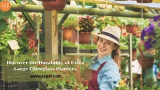 Discover the Durability of Extra Large Fiberglass Planters IAP