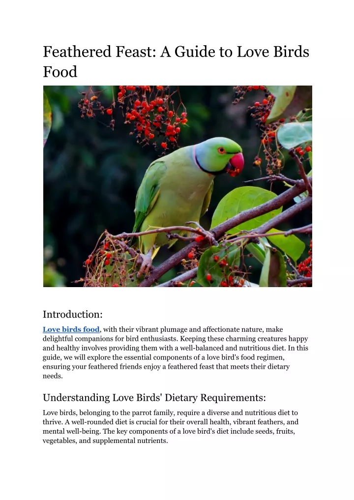 feathered feast a guide to love birds food