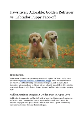 Pawsitively Adorable_ Golden Retriever vs. Labrador Puppy Face-off