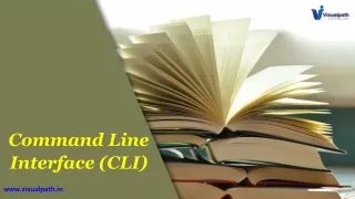 c ommand l ine i nterface cli