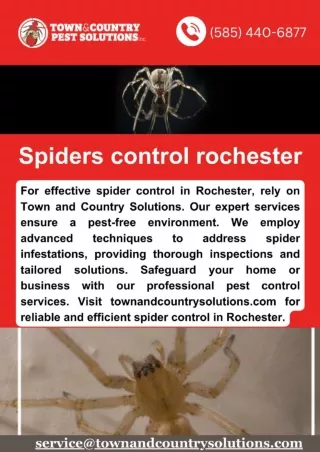 Spiders control rochester