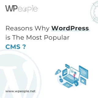 Reasons Why WordPress is The Most Popular CMS