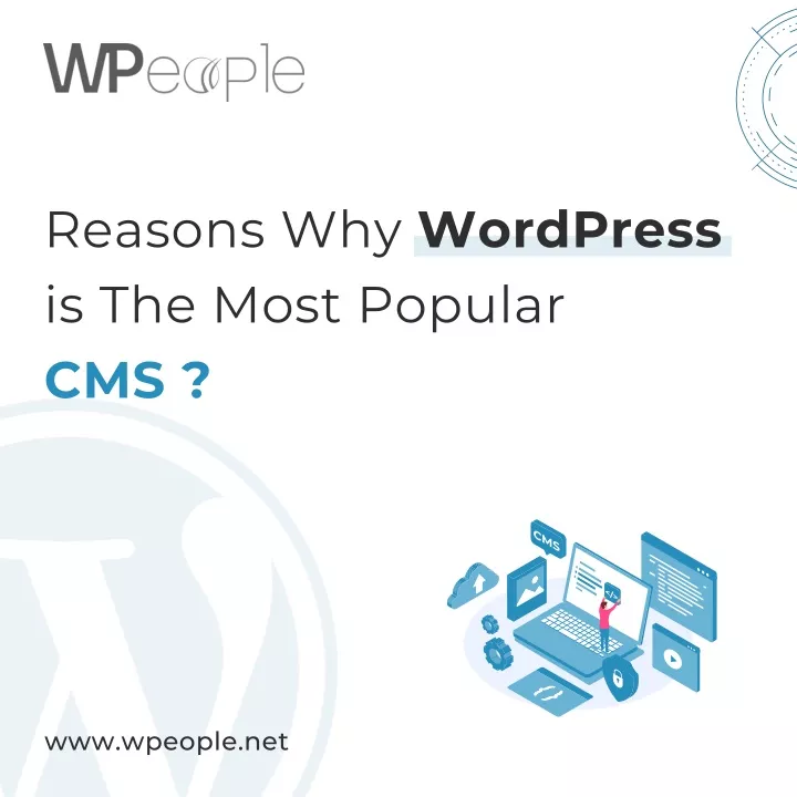 reasons why wordpress is the most popular cms