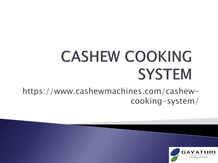 cashew cooking system