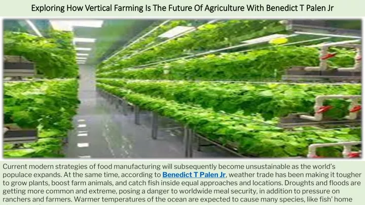 exploring how vertical farming is the future of agriculture with benedict t palen jr