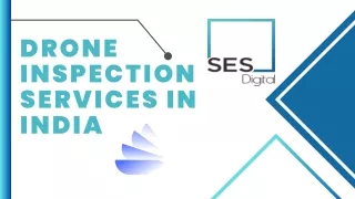Drone inspection services in India