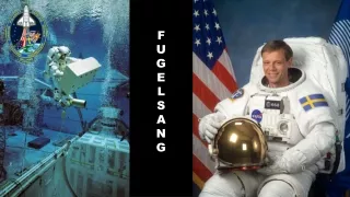f u g e l s a n g