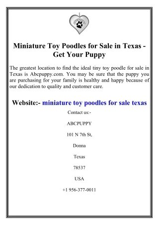 Miniature Toy Poodles for Sale in Texas - Get Your Puppy