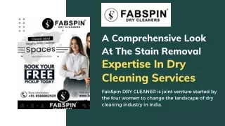 A Comprehensive Look At The Stain Removal Expertise In Dry Cleaning Services