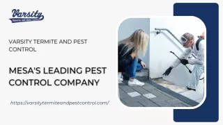Mesa's Leading Pest Control Company | Varsity Termite and Pest Control