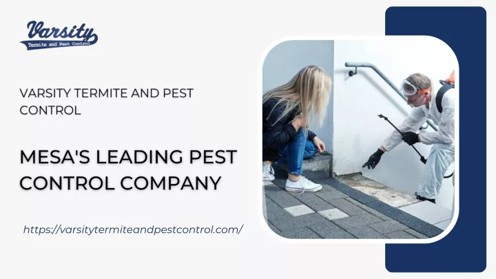 https varsitytermiteandpestcontrol com