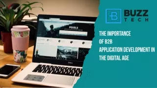 The Importance of B2B Application Development in the Digital Age