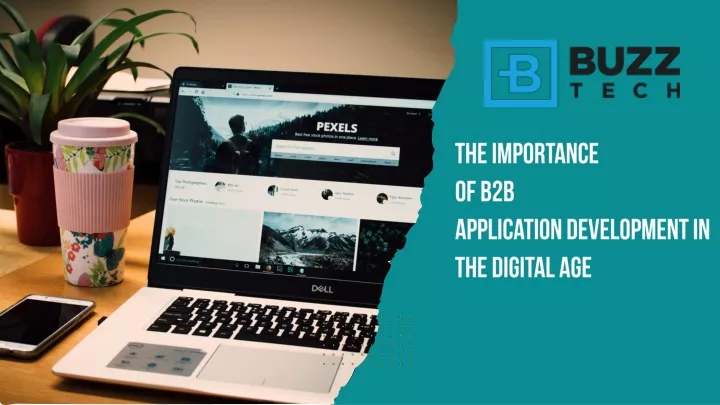 the importance of b2b application development