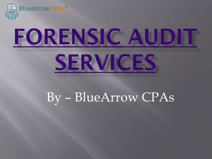 forensic audit services