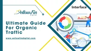 Ultimate Guide For Organic Traffic