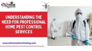 Understanding the Need for Professional Home Pest Control Services Extreme Xterminating Pest Control