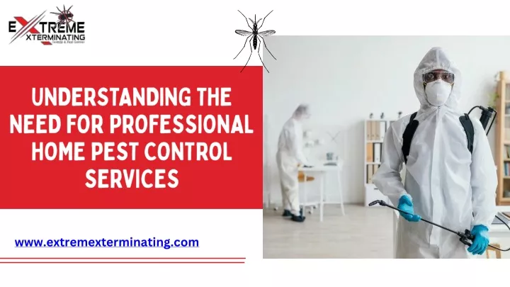 understanding the need for professional home pest