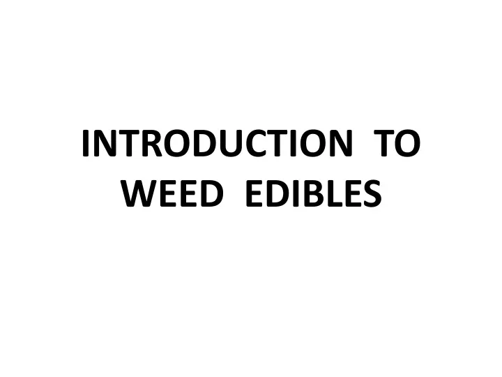 introduction to weed edibles