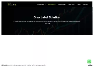 www_mt4greylabel_com_mt4-grey-label_