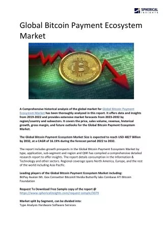 global bitcoin payment ecosystem market