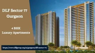 DLF Sector 77 Gurgaon | Premium Living Falts