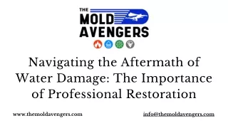 The Importance of Professional Water Damage Restoration