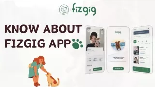 Fizgig: Friendly Pet Sitting Florida for Your Lovely Pets