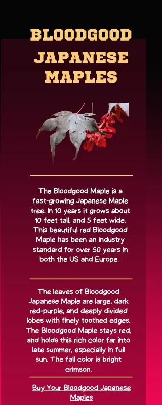 Bloodgood Japanese - Why are they the best?
