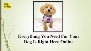 Everything You Need For Your Dog Is Right Here Online