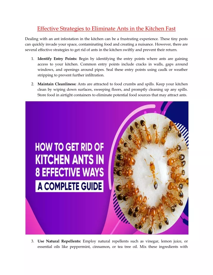 effective strategies to eliminate ants