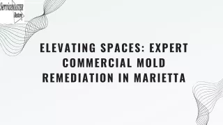 Professional Commercial Mold Remediation Services in Marietta - ServiceMaster Restore