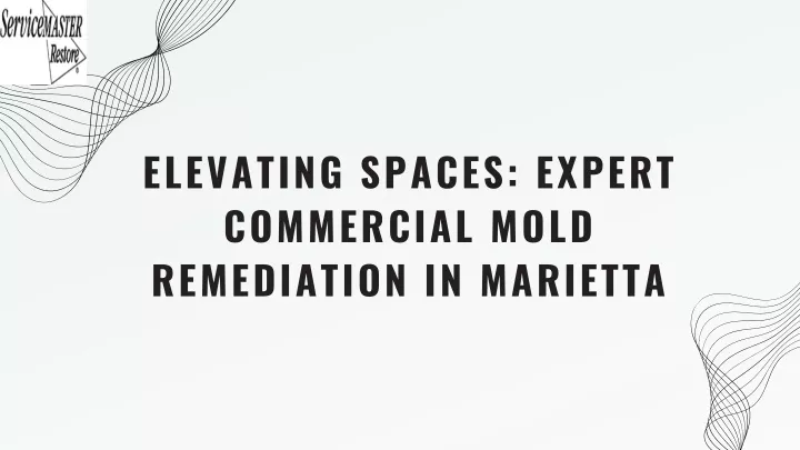elevating spaces expert commercial mold