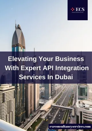 Elevating Your Business with Expert API Integration Services.