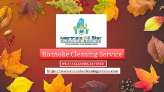 Elevate Your Workspace with Exceptional Commercial Cleaning Services in Roanoke, VA!