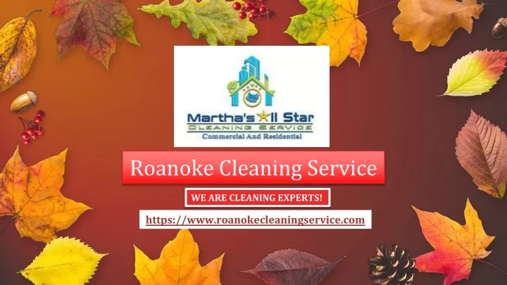 roanoke cleaning service