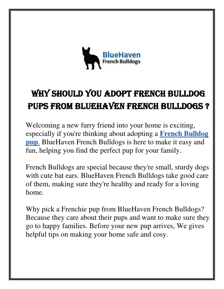 why should you adopt french bulldog why should