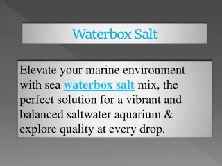 Waterbox Salt