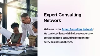 Expert Consulting Network