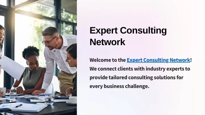 expert consulting network