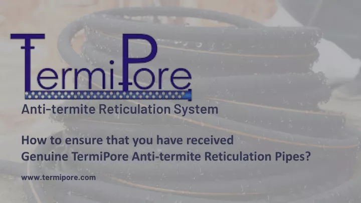 anti termite reticulation system