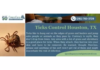 Ticks Control Houston, TX
