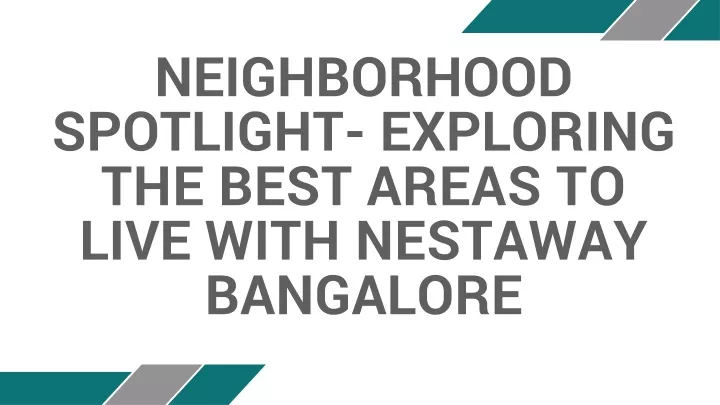 neighborhood spotlight exploring the best areas