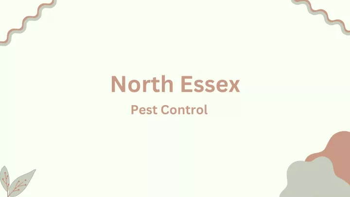 north essex