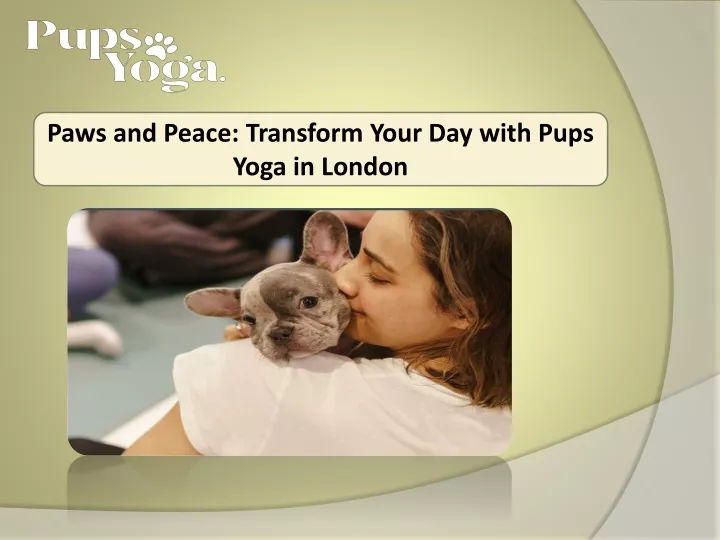 paws and peace transform your day with pups yoga