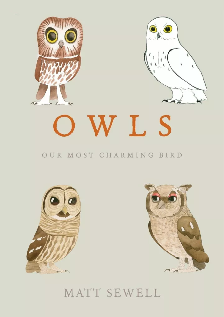 owls our most charming bird